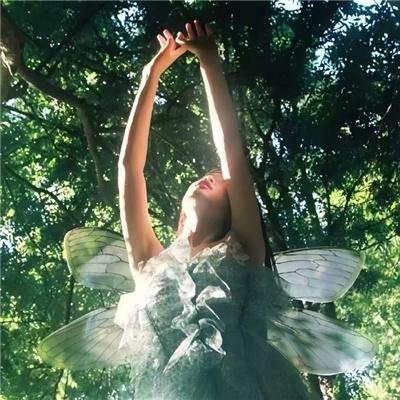 莫妮卡·赛德隆